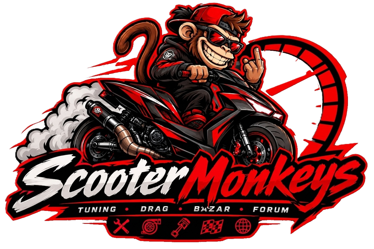 Scooter Monkeys